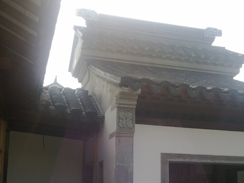 雞爪槭